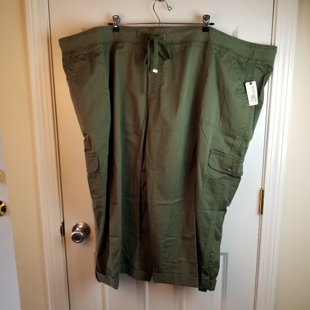 NWT Womens Terra & Sky Comfort Elastic Waist Green
